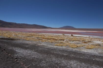 Salar de Uyuni